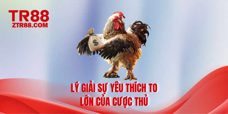 Lý giải sự yêu thích to lớn của cược thủ